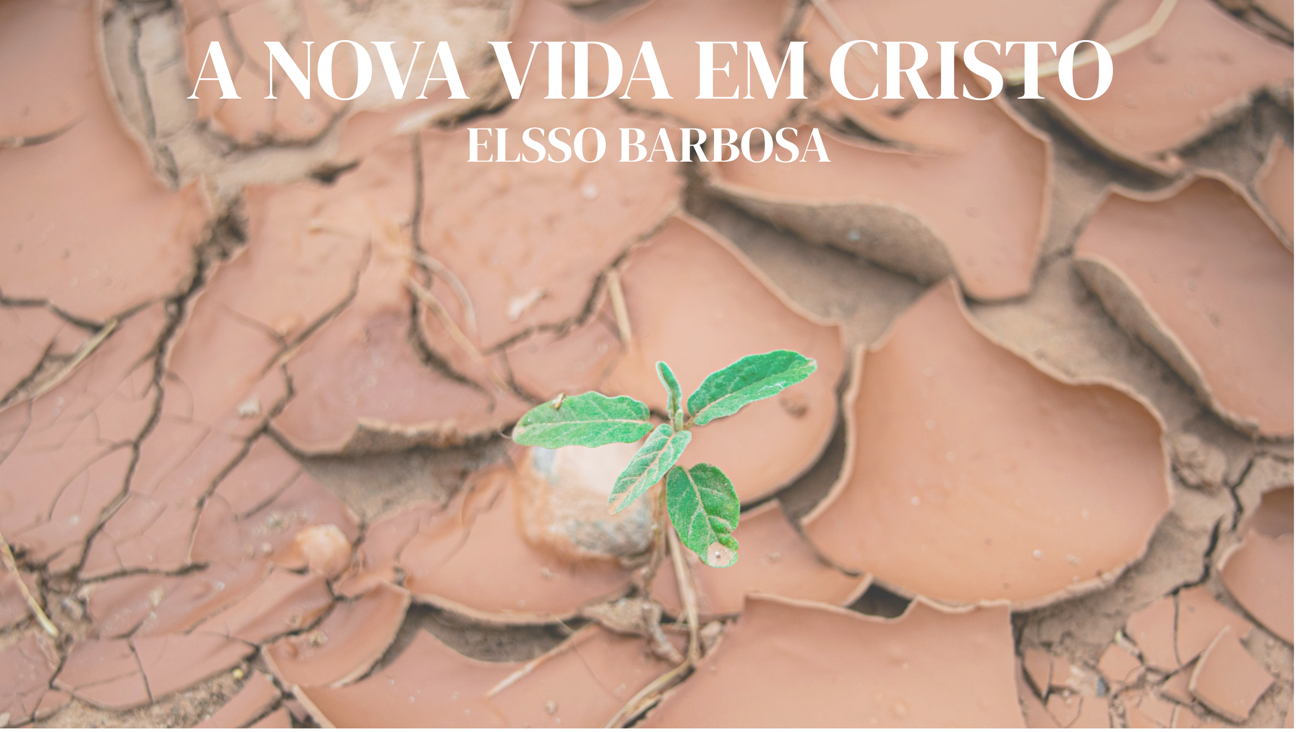 NOVA VIDA