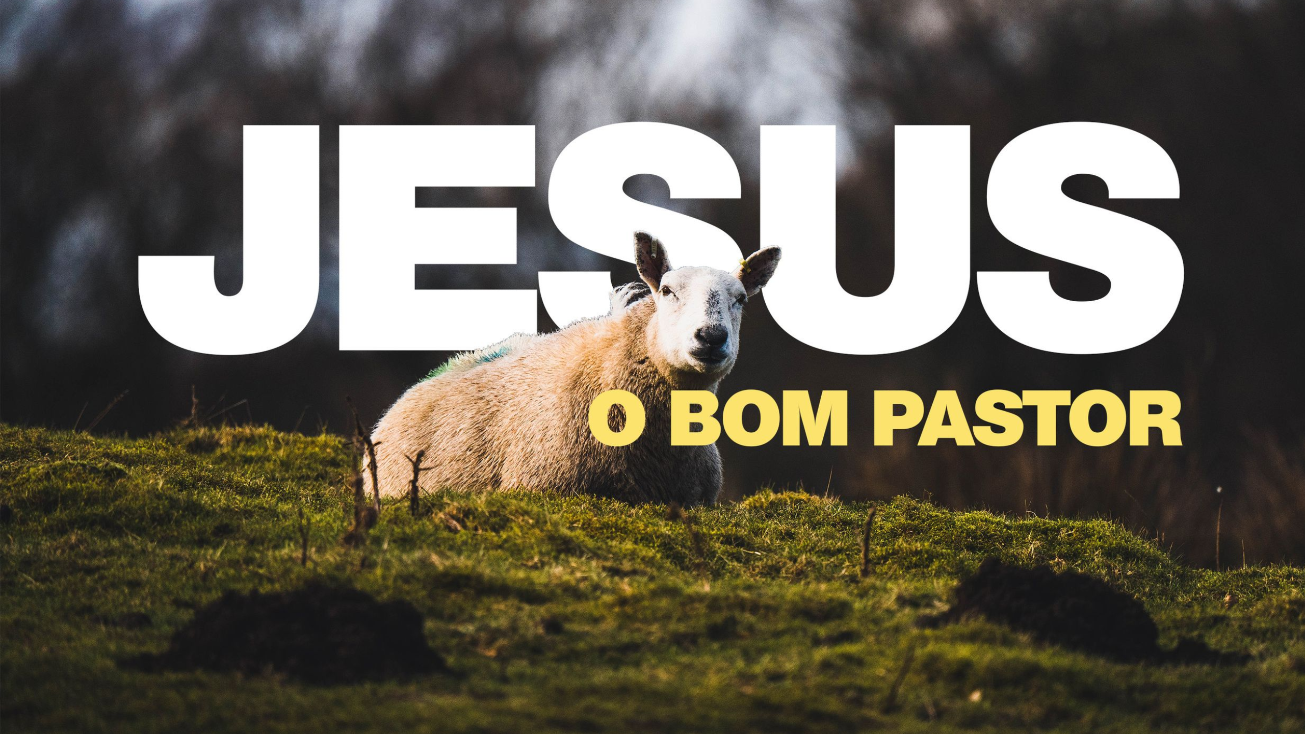 bom pastor