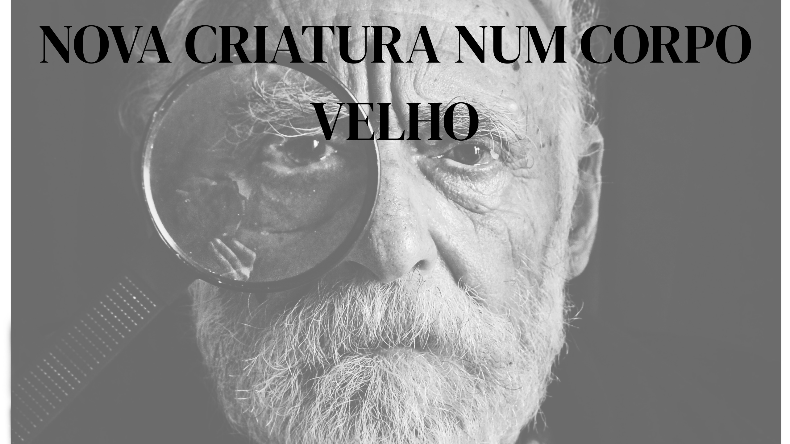 nova criatura