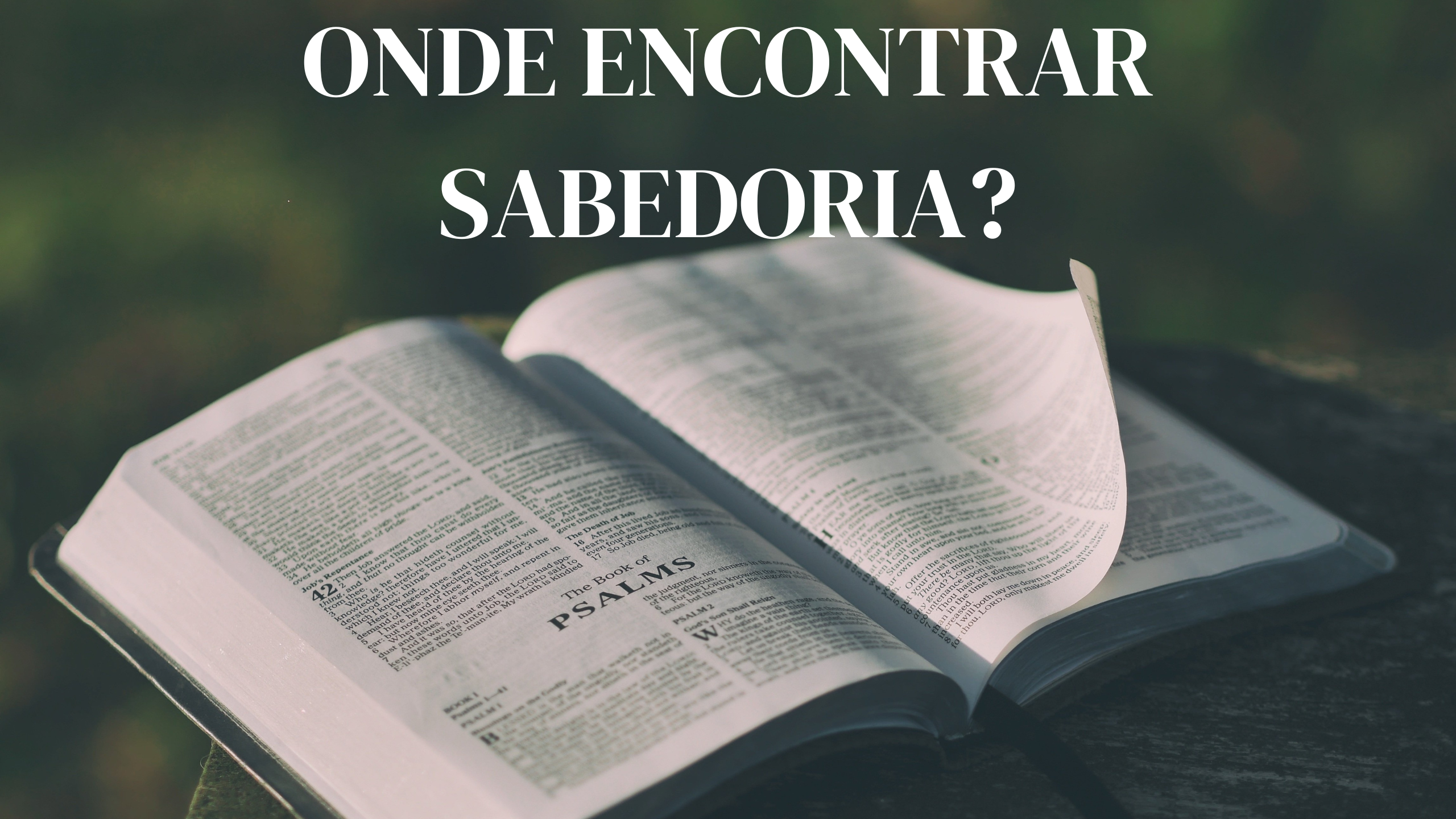 sabedoria