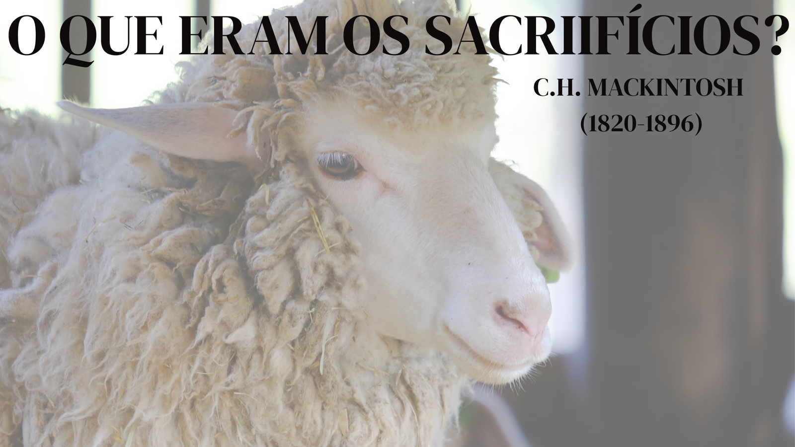 sacrificios