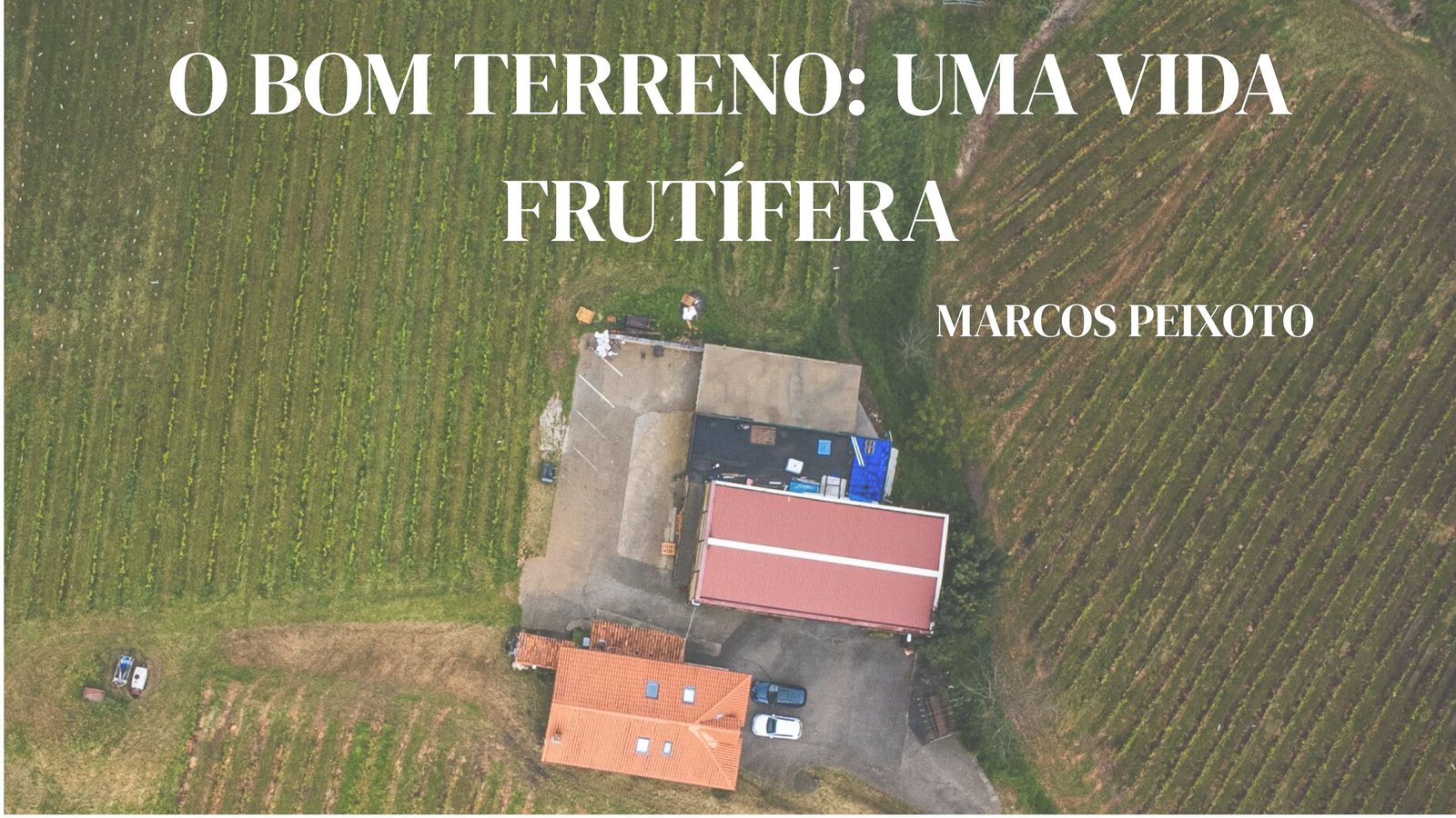 o bom terreno